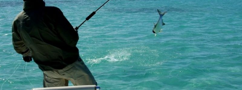 Рыбалка в Крыму: на озерах и море. Платно и бесплатно. Лучшие места